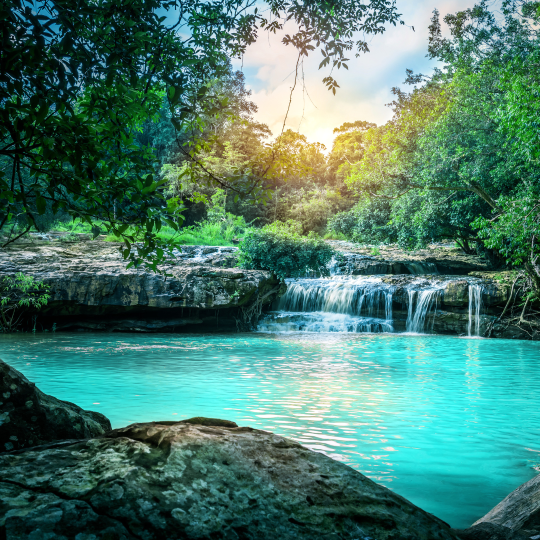 Krabi Jungle Tour (Emerald pool + Hot springs + Tiger cave)