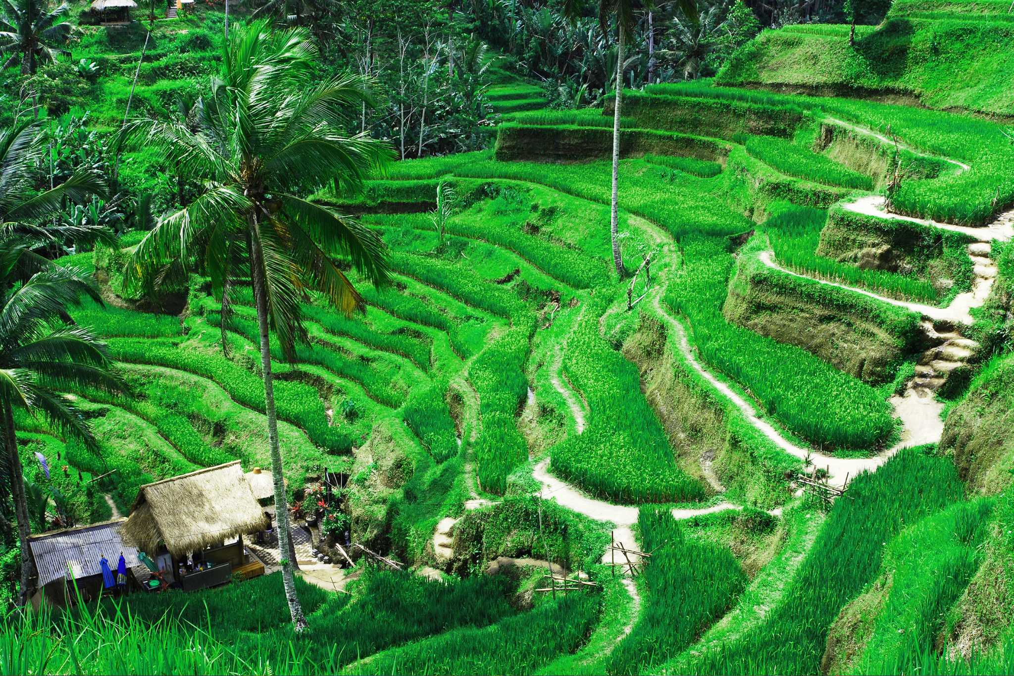 Bali Package 7N8D