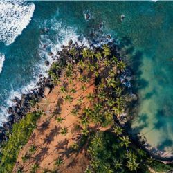 Sri Lanka Coastal Escape