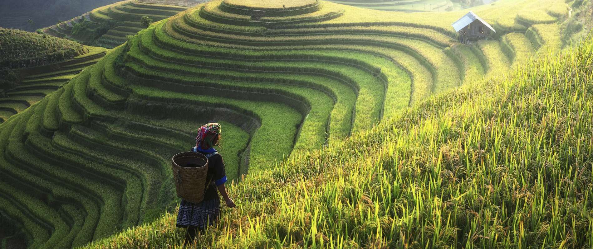 Vietnam Tour Package 6N7D
