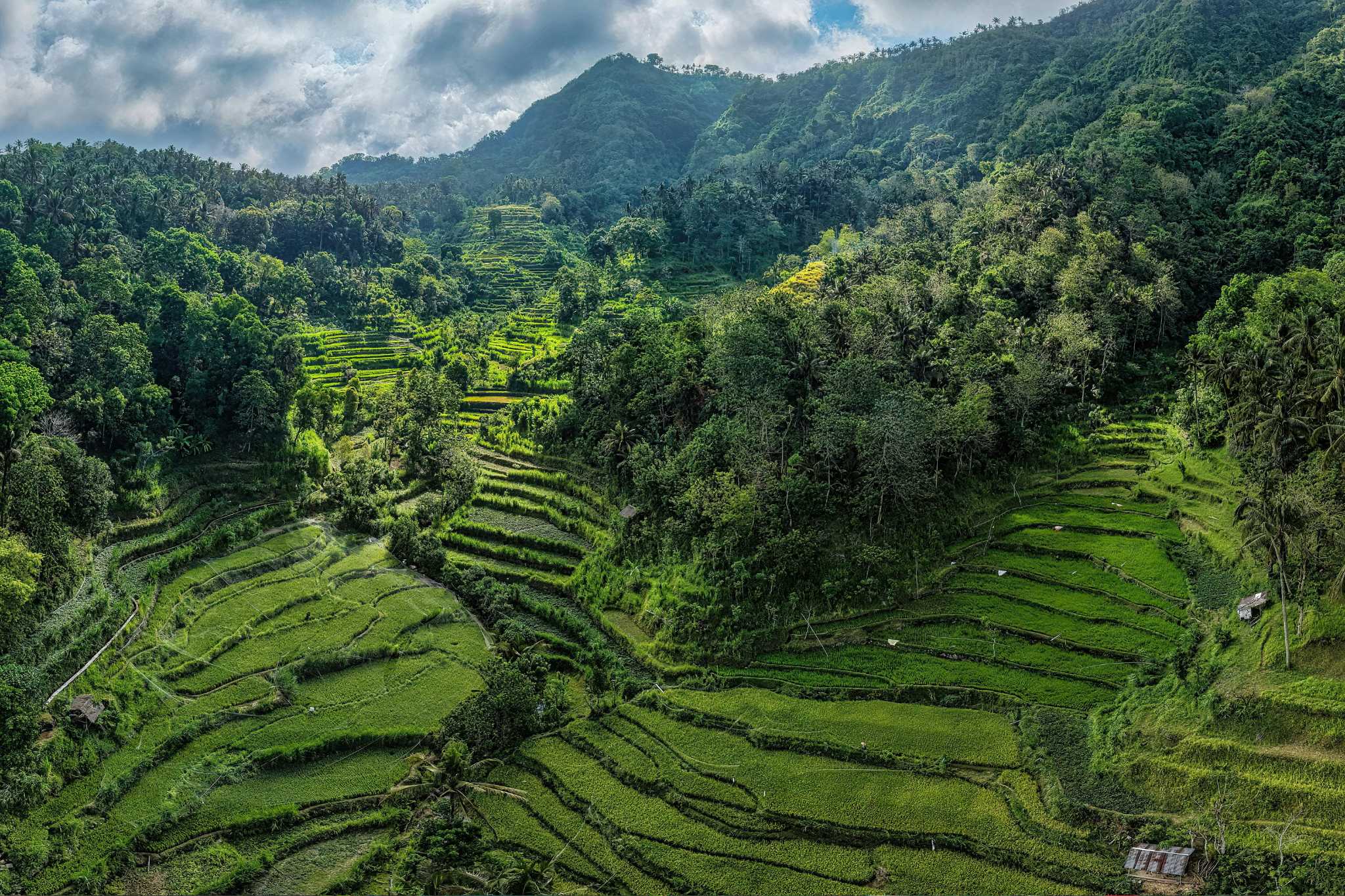 Blissfull Bali 5N6D