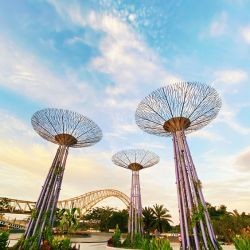 Singapore Skyline & Sentosa photo